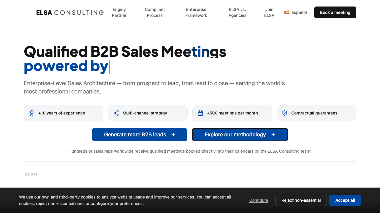 Elsa Consulting homepage